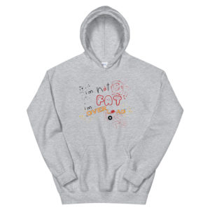 Unisex Hoodie With Im Not Fat Im Over Load